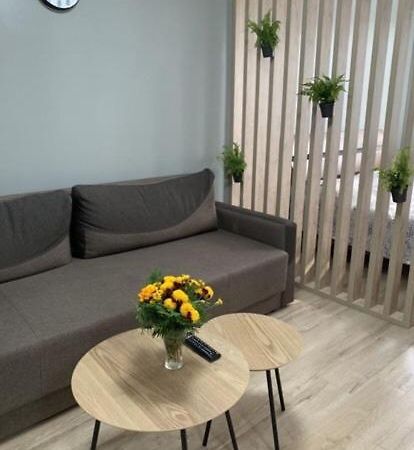 Babylon Apartments On Vidinska 41 Riwne Exterior foto